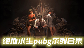 pubgϵкϼ