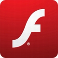 adobe flash player(flash)